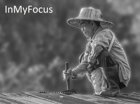 in my focus by michael mettier