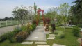 /album/giant-swing-yaksa1/img-3577-jpg2/
