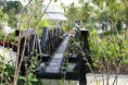 /album/bridge-of-riwer-kwai/img-5642-jpg1/
